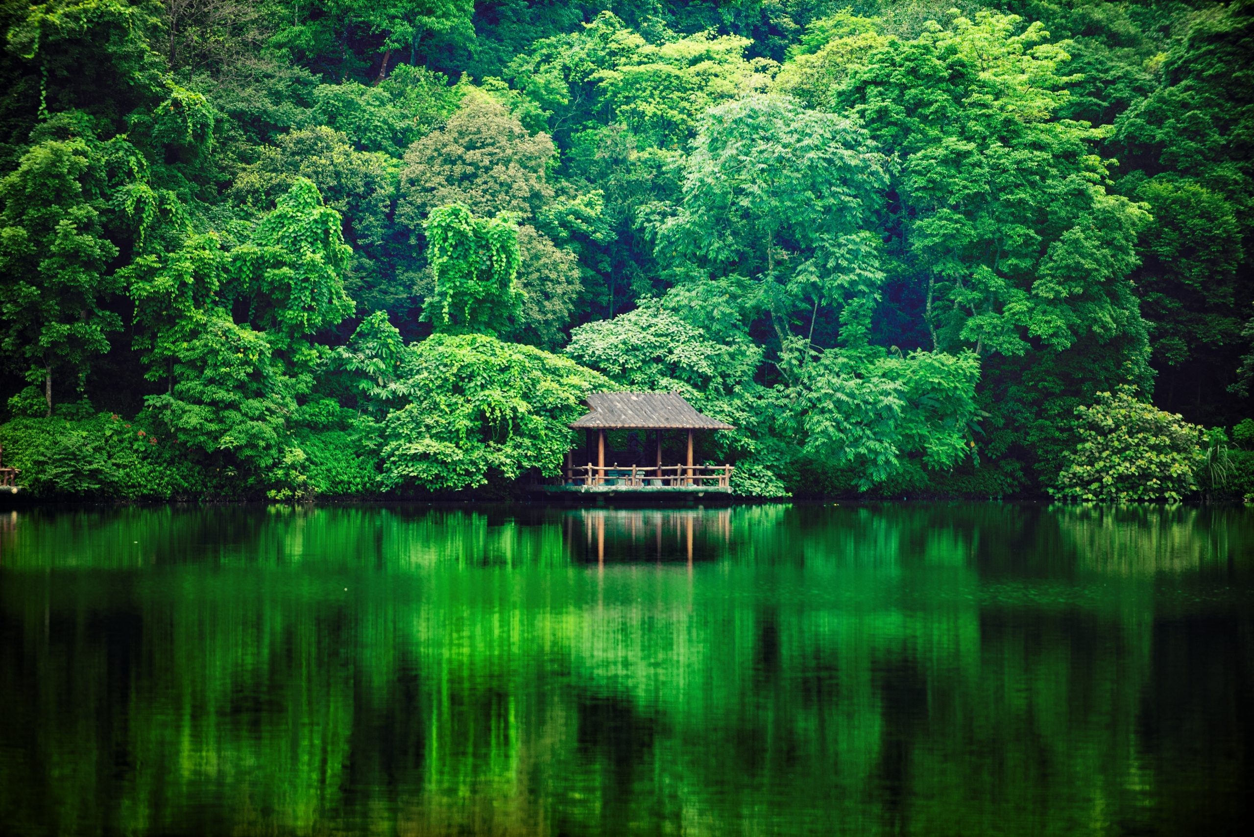 Ba Be Lake surrounded by forest and limestone mountains in northern Vietnam