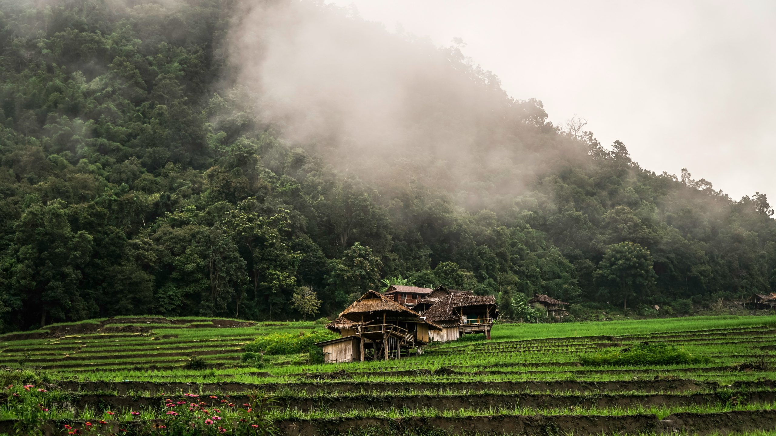 Scenic countryside and green landscapes near Chiang Mai, Thailand