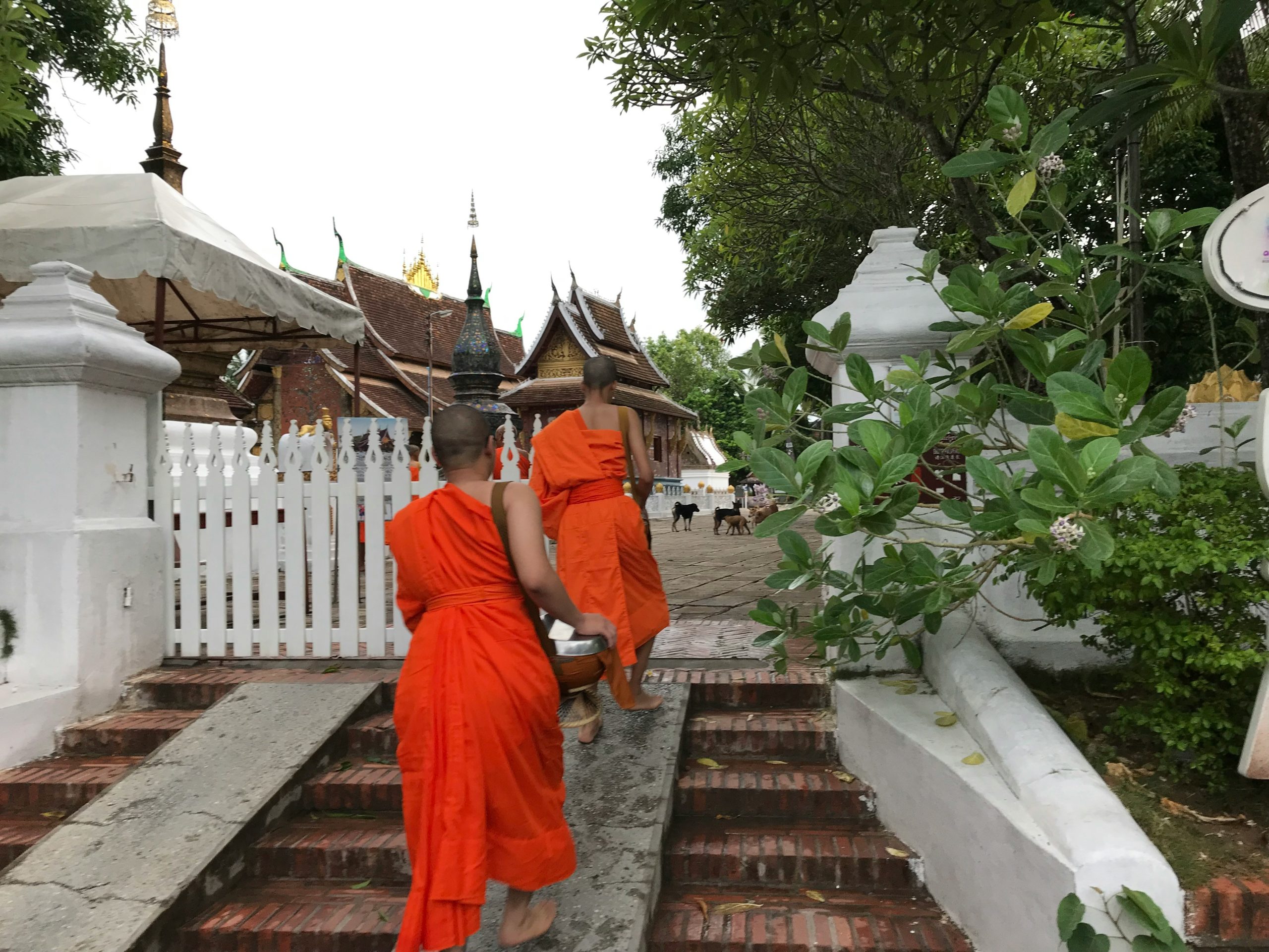 Two Buddhist monks walking outside a temple in Luang Prabang, Laos