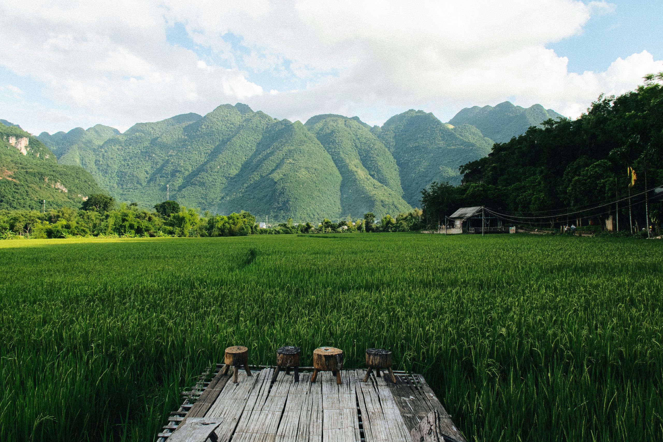 Rice fields and traditional stilt house in Mai Chau Valley, northern Vietnam