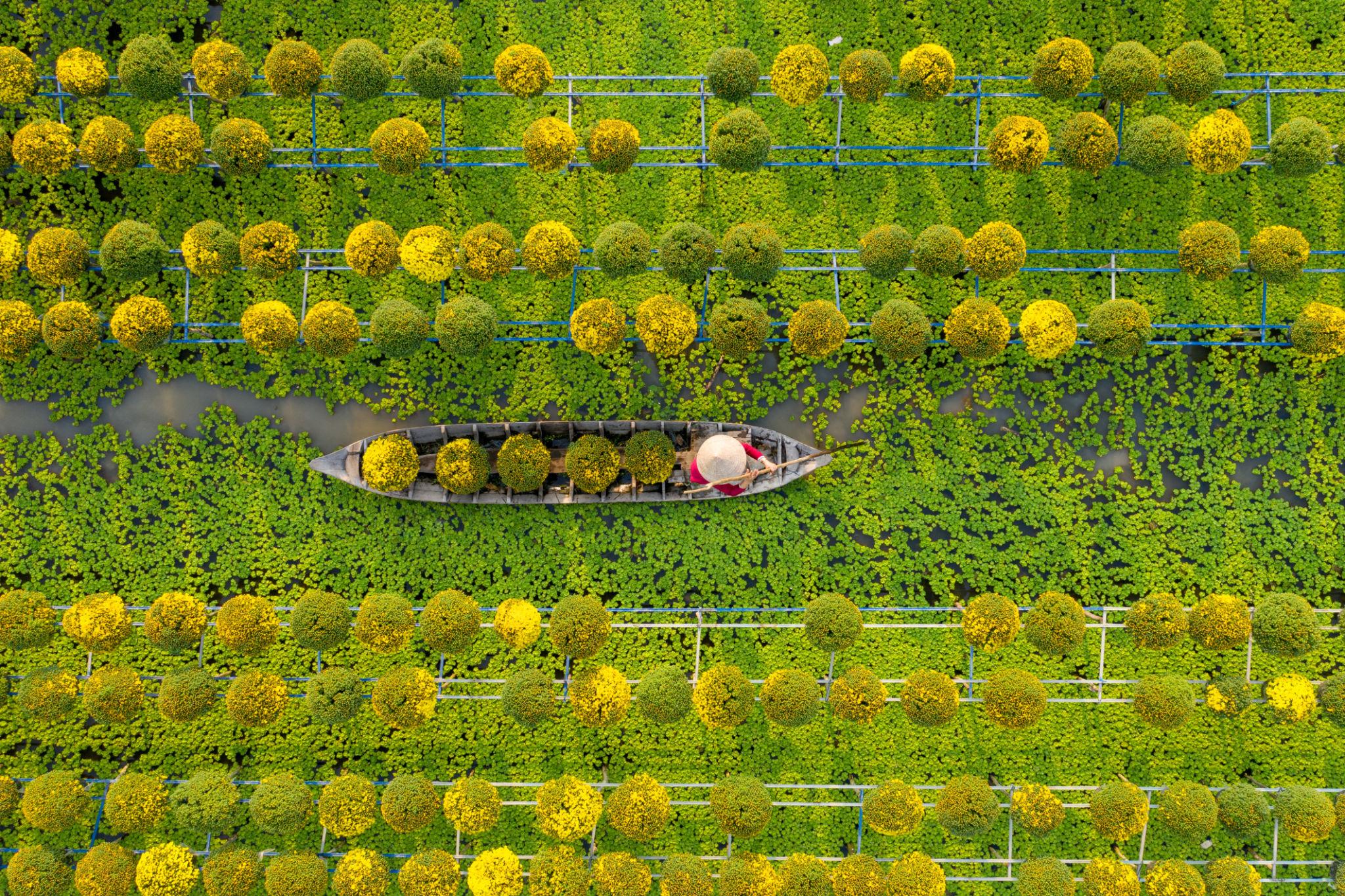 Flower garden and waterway in Sa Đéc, Mekong Delta, Vietnam