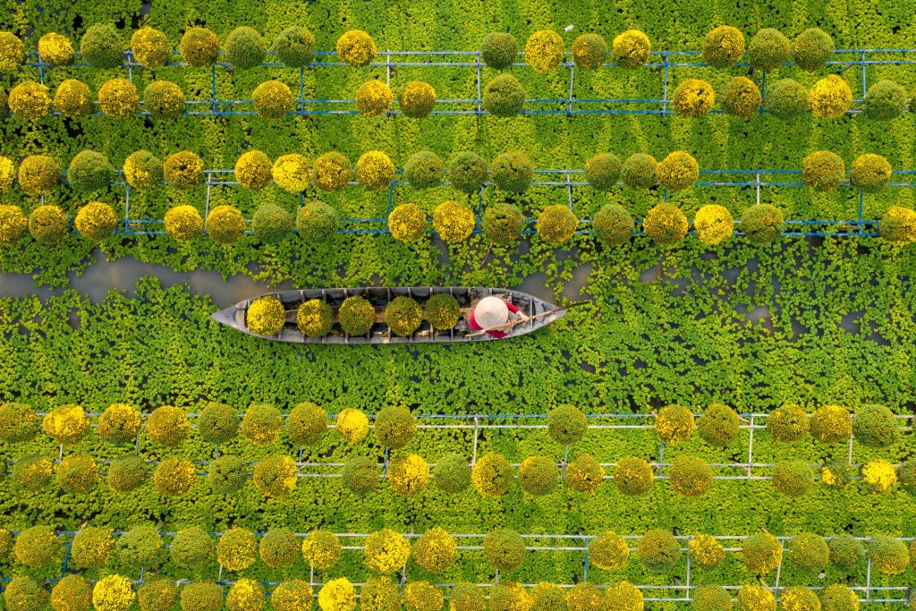 Flower garden and waterway in Sa Đéc, Mekong Delta, Vietnam