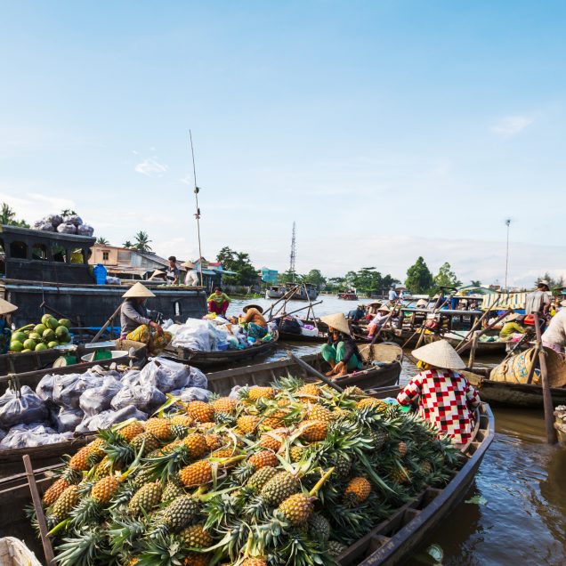 Mekong Delta